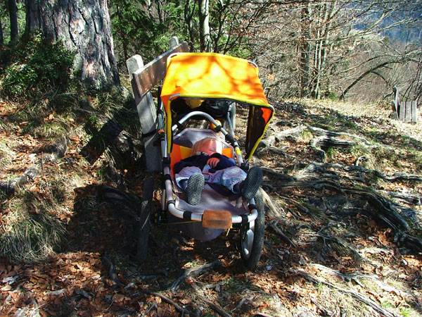 gogo-kid beider rast mit dem schieber auf eine bankkante flachgelegt und mit dem fangband gesichert-kr�ftige wurzeln laufen �ber den boden